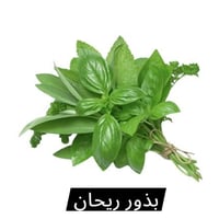 بذور زراعة • بذور • زراعة • اعشاب • اعشاب الدكتور صبري المرسومي • الرم...