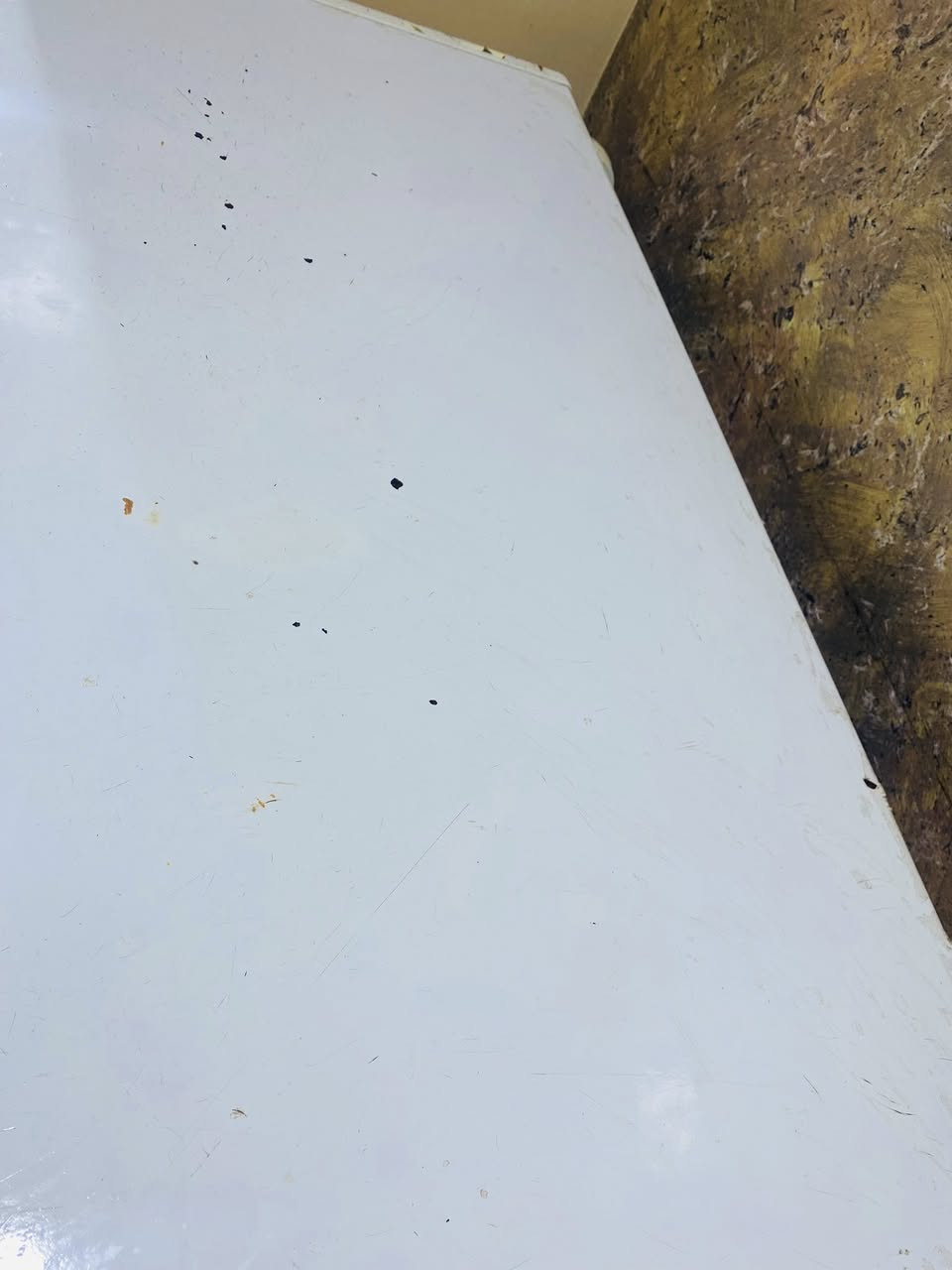 مجمدة كلش نظيفة تجميدها فوول للبيع ب٢٠٠ وبيها مجال


**إذا كنت صاحب هذا الإعلان وتريد حذفه لأي سبب، رجاءا أرسل رسالة إلى الدعم الفني**
