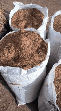 نشاره مضغوطه • نضيفه ١٠٠٪ • لمحلات الدجاج