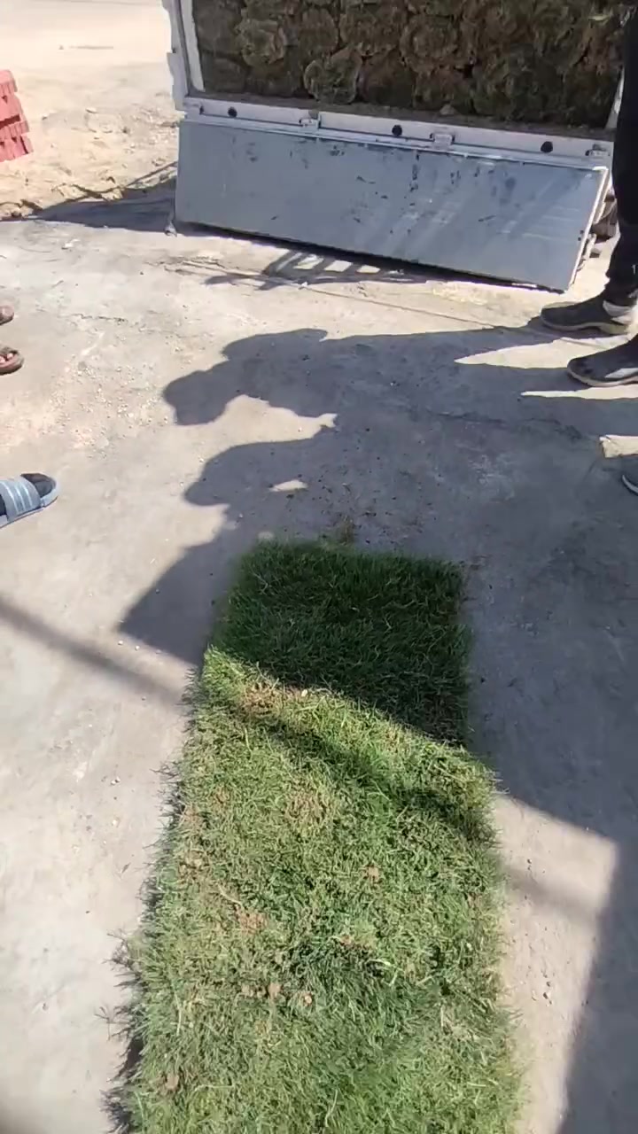 تجهيز  ثيل هندي ١٥٠ متر الى مزرعة في الديوانية
للحجز والاستفسار مراسلة الصفحة


**إذا كنت صاحب هذا الإعلان وتريد حذفه لأي سبب، رجاءا أرسل رسالة إلى الدعم الفني**