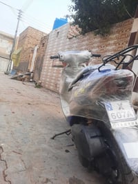 ساسوكي 12 • أوراق • ميسان الكحلاء