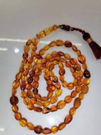 كهرب حر ١٠١ • ١٧غرام • شامل التوصيل