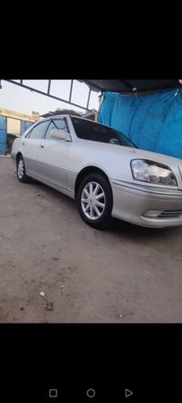 دي فور • كارتون • بصره