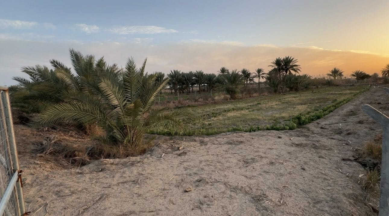 🌴دونم للبيع طابو زراعي سند25
تحويل مباشر باسم المشتري 

خلف جامعة بابل 🏫

وجه الدونم 33 متر 

يصلح سكن ويصلح مزرعه خاصه 🌴🌳🌲🪾

الارض بيها نخل وتين وبيها مي سقي 

وماء اساله وكهرباء 🌴⚡️

مسيج بلكامل بي ار سي 

للاستفسار اكثر 

اتصل ***********
