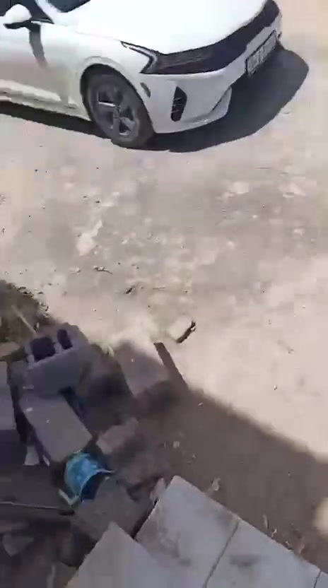 بيت في صالحيه ١٠٠متر مربع
البيت يكون اله طريقين طريق الفوك قرب الاروائي والثاني ع جهه صالحيه يبعد عن مدرسه ريف زاهر كيلوين البيت بناء حديث بالأظافه المالك عراقي طابو صرف زراعي سعر البيت ٨٠ وبي مجال للشراي


**إذا كنت صاحب هذا الإعلان وتريد حذفه لأي سبب، رجاءا أرسل رسالة إلى الدعم الفني**