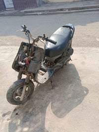 بريز • شغالة • أوراق كامله