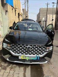 سنتافي 2023 • وراد امريكي • رقم بصرة