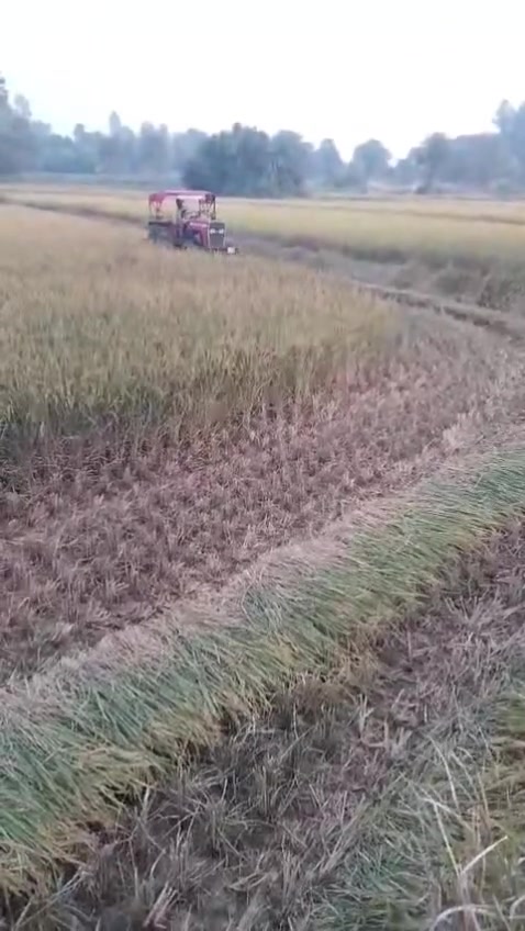 ⚡⚡حاصدة الشلب والحنطة والسمسم @

          تتوفر لدينا الحاصدة الهندية تعمل من الخلف بدون مواد التحوير كما في الفيديو  وممكن إيضا من الأمام عن طريق مواد التحوير كاملة متوفرة في الصندوق
   بمواصفات خاصة مع مواد إحتياطية كاملة تكفي لموسمين في الصندوق 
                 للحجز والشراء الإتصال
       ***********_***********  
       معرض خيرات الارض للمعدات الزراعية 
       مهندس محمد العزاوي أبودعاء بعقوبة

