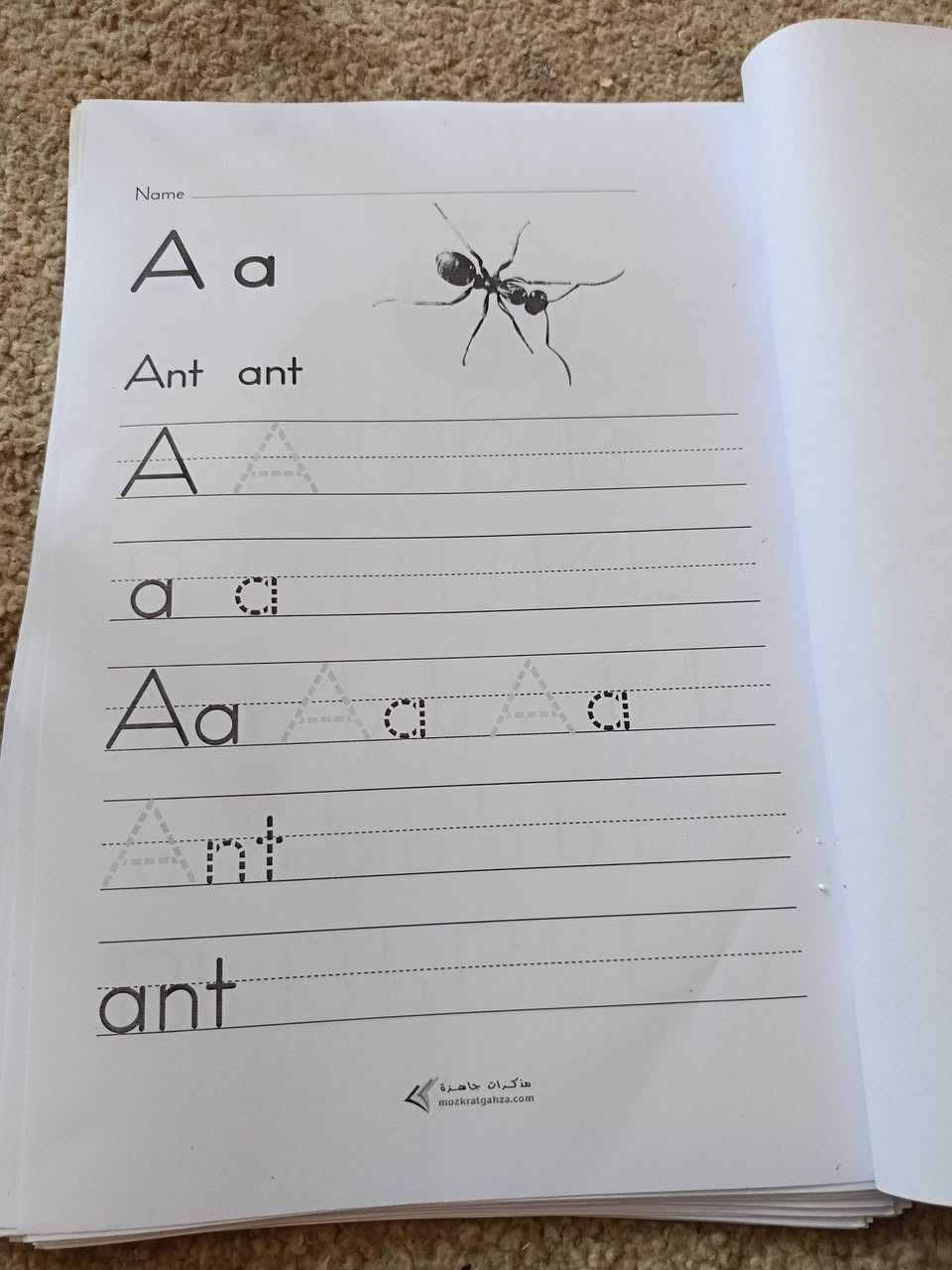 ZORA 🔠
كراسات تعليم الحروف والارقام 📝
تسهيل وتسريع حفظ الارقام والحروف 
وفهم طريقة الكتابة باجمل خط 
-تطبيق خاص بنا على الهاتف 📱 
للتواصل 
***********
او زورونا في موقعنا الاول 
النجف-حي الميلاد
الموقع الثاني 
النجف-قرية الغدير الاولى
