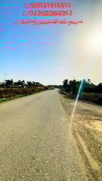 كنعان شارع الشاخه • ٨٠٠م • طابو زراعي