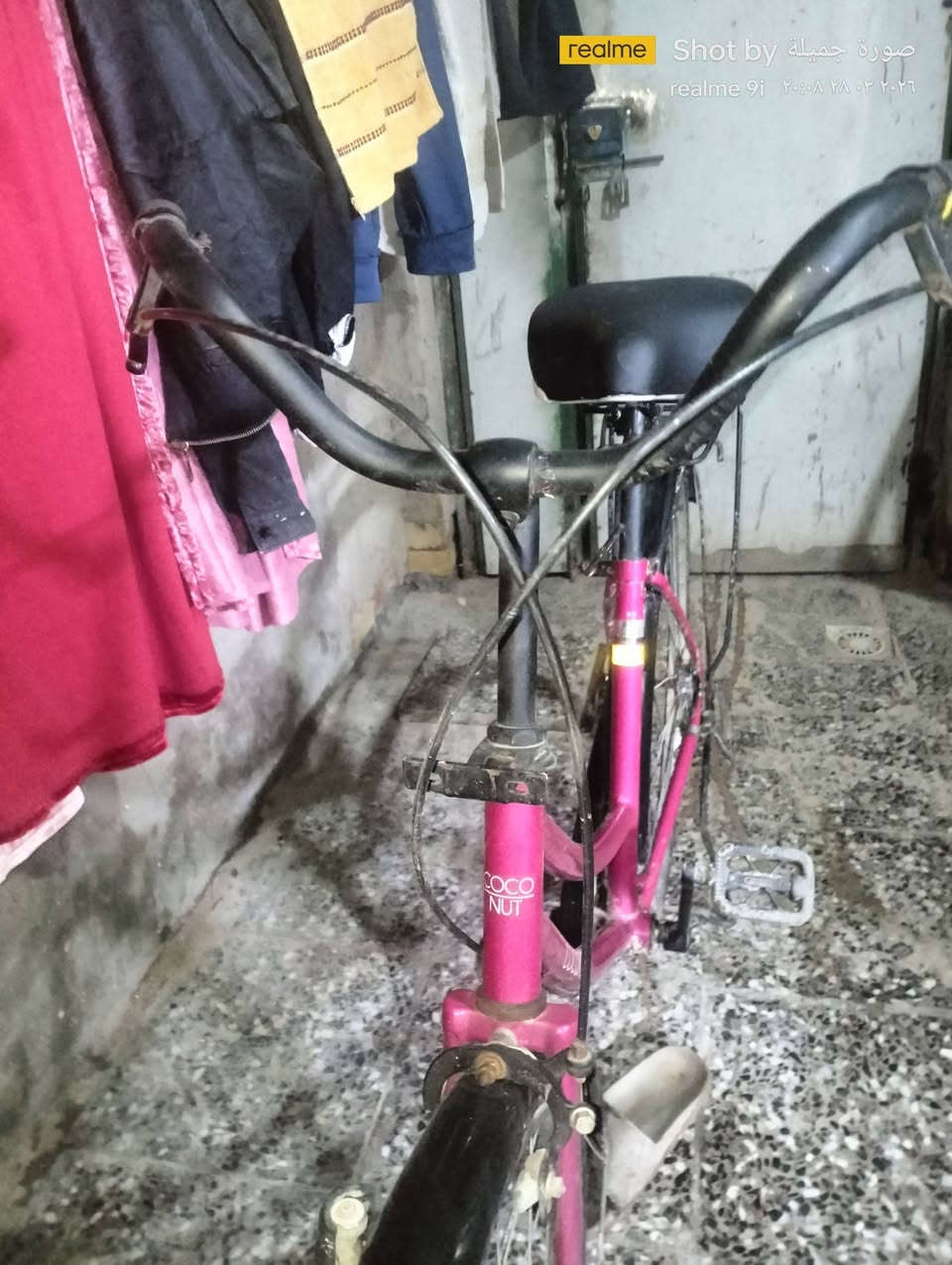 بايسكل ياباني 27 اخو الجديد 

موديل 2023

المكان بغداد الحبيبيه السعر 90 قفل🔐


**إذا كنت صاحب هذا الإعلان وتريد حذفه لأي سبب، رجاءا أرسل رسالة إلى الدعم الفني**