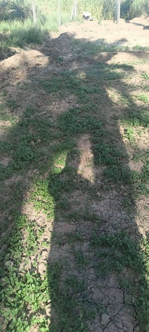 سلام عليكم من رخصت ابو الكروب بستان اللبيع طابو زراعي سند ٢٥ مساحة دونم مسيج بي ارسي خدمات كاملة كهرباء وماء اسألة وماء سقي العنوان طريق السنية جهة زوار الاتصال على الرقم ***********
