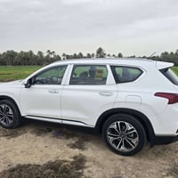 سنتافيه ٢٠٢٠ • ٣٥٠٠ • بدون صبغ