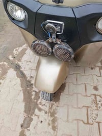 هورن بوش أصلي • المحمودية