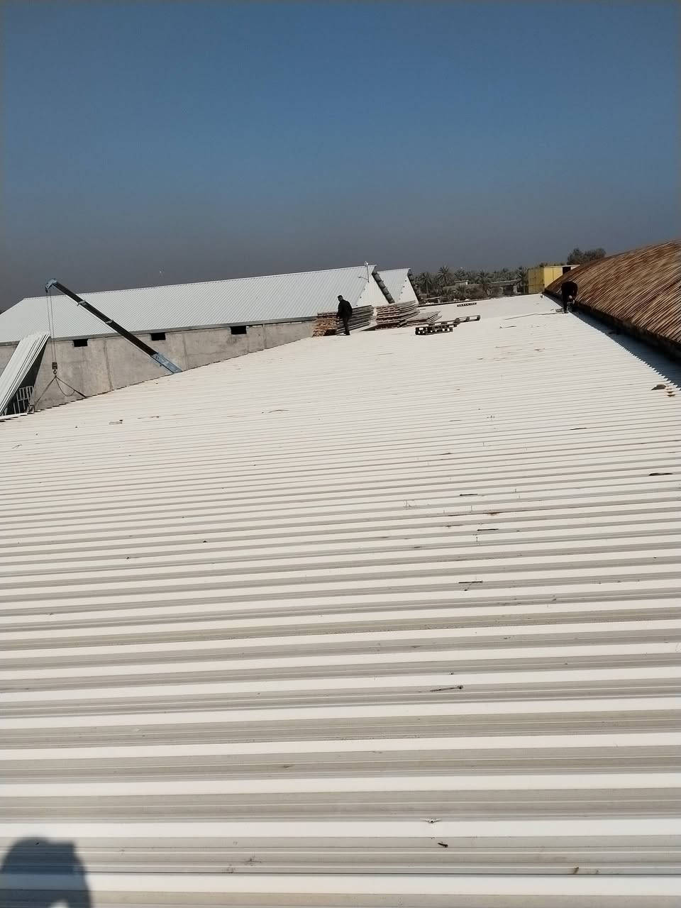 بسم الله الرحمن الرحيم
تخفيض خاص ولمدة محدوده
 على سندويج بنل
يسرّنا تجهيز المقاولين وأصحاب المشاريع بكميات كبيرة وصغيرة من السندويج بنل (جديد ومستعمل) وفق أعلى معايير الجودة.
▪ سماكات متعددة حسب الطلب
▪ جداري وسقفي((***********) 

▪ تجهيز كميات تجارية للمشاريع الكبيرة
▪ توفير كميات بسيطة لأعمال الصيانة والمشاريع الصغيرة
▪ أسعار تنافسية مع خصومات خاصة للكميات الكبيرة
▪ توصيل داخل بغداد وجميع المحافظات 🇮🇶
للتواصل والاستفسار:
««***********»» 

متوفر حديد صناعي جديد بأنواعه  ( بوري شخاطه؛ زاويه ؛ كيربي ؛جينكو بلاستك ؛ جكر بليت ؛ جنلل ؛ قرميد ؛ شيش صب  ؛  بلاويد خشب ؛  ساقية ماء،جميع انواع الحديد إلخ 

 يوجد ساندويج مقاوم الحريق 100% لكيج
 صفر 35 وبي شهاده منشد معترف بها بالدفاع المدني سندويج درجه اولى سعر المتر 18 ونص
#الجميع
