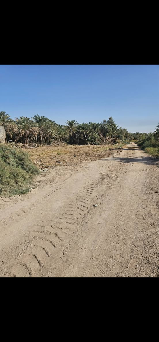 سلام عليكم قطع ارض لبيع طابو زراعي 25طابو باسمي وكاله باسم المشتري ونسخه من الطابو انطي المكان الزوين شارع المعمل متوفر جميع الخدمات ما كهربه مدارس اسواق افران مركز صحي جميع الخدمات قريبه ***********
