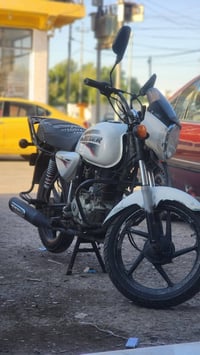 بوكسر • ٢٠١٨ • بوش وبستم