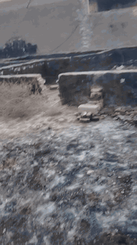 يالله قطعه 200متر سند 25على الحولي منطقت الگطع بيه قرار محكمه ***********
