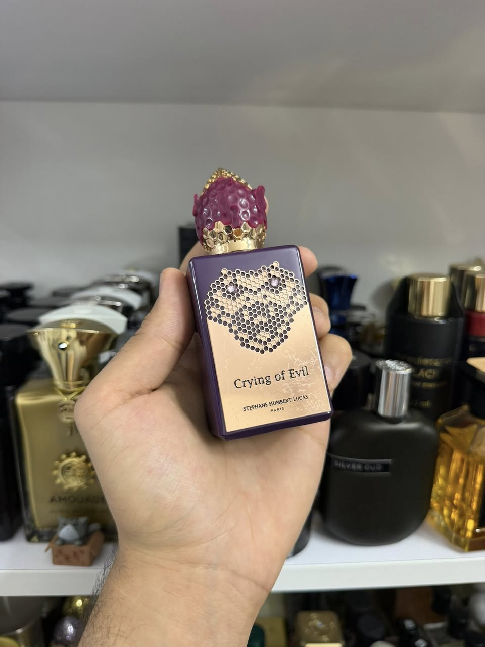 السلام عليكم
عطور اصليه للبيع والتفاصيل اسفل الصور


**إذا كنت صاحب هذا الإعلان وتريد حذفه لأي سبب، رجاءا أرسل رسالة إلى الدعم الفني**