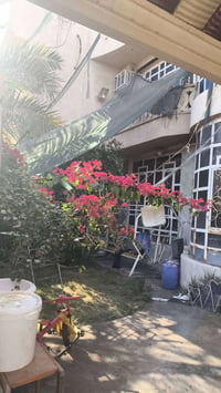 الشعلة/ام نجم • ١٥٠م • تشجير وكراج