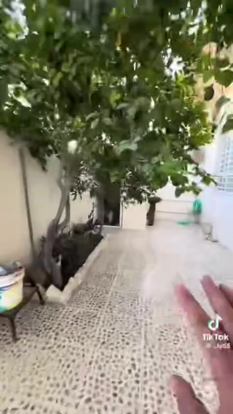 ٢١٠ متر للبيع ببنجه علي تابع مكتب الساحل***********
