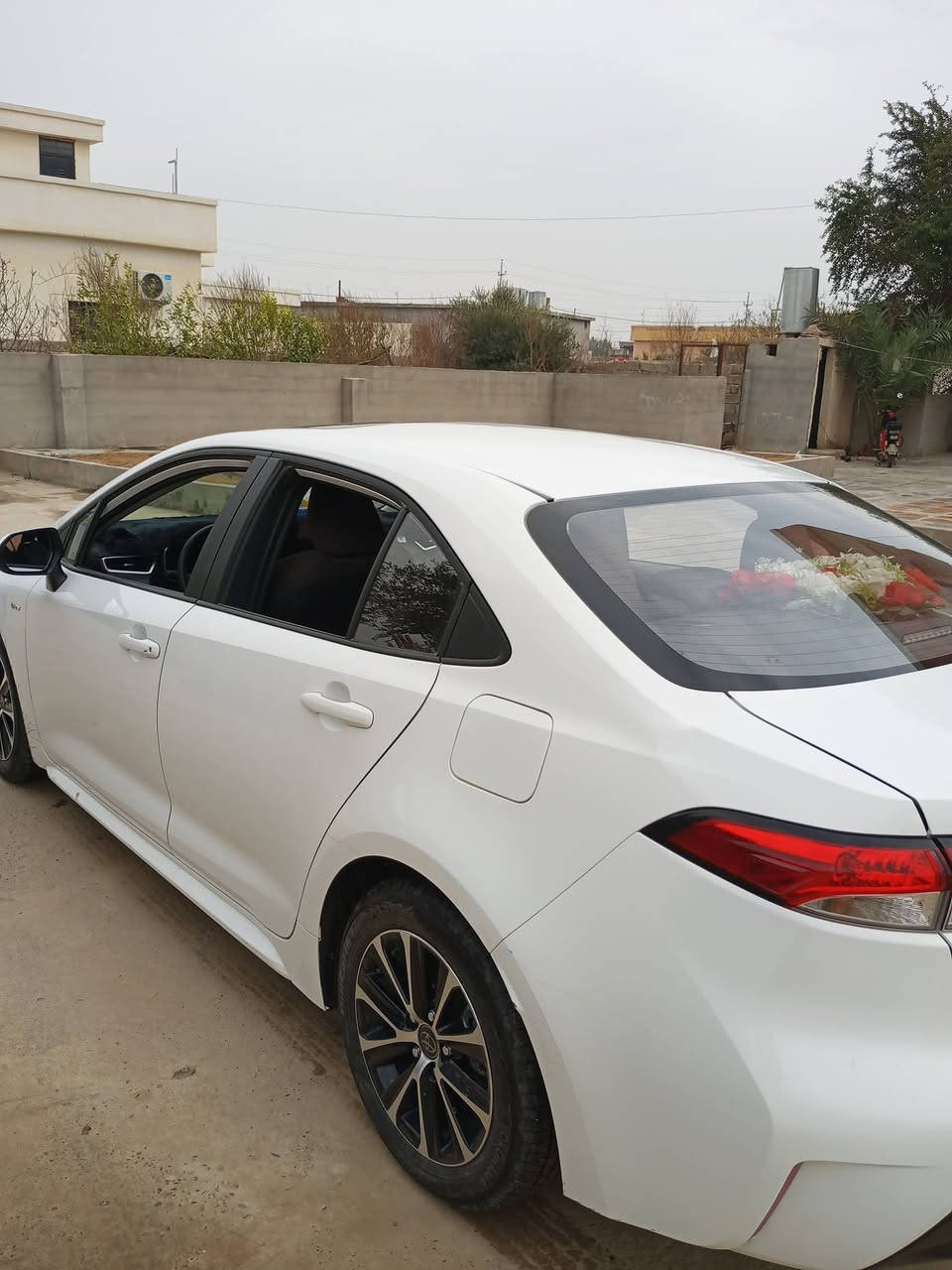 للبيع كورلا هايبرد 2025 سنويه بأسمي
ماشيه 4.700 كيلو
فول فول مواصفات  سلايد فتحة سقف 
مواصفات
بصمة
فتحة
دخول ذكي
كامره خلفية عدستين
رادار
ابل كار بلي
نظام نقطة عمياء
نظام تحكم ستيرن
نظام تحديد مسار
توقف ذاتي
اوتو هولد
جام اوتو
قطعتين تبريد
شاشة ديجيتل
شاشة كبير
تحكم اوامر صوتيه
كشنات جلد
سايد بريك بصمة
3 انضمة قيادة (ايكو،نورمال،سبورت)+الهايبرد
السعر  160 
مكان صلاح الدين/بيجي/المسحك للأستفسار: ‪0782 967 1746
