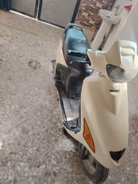 للبيع فراشه فحل السفسار عل الرقم 07819466727 السعر 250