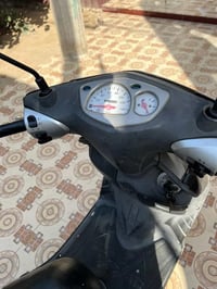 سكنس فحل للبيع السعر ٢٢٥ 07708655899