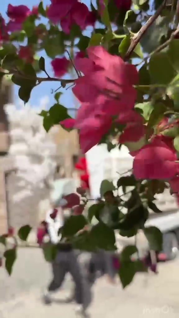 الموسوي التأجير الجوادر مستعدين الكافه المناسبات
سماوه قضاء الرميثه الشارع العام قرب سيطره المرور

اتصل بنا على الارقام التاليه
 رقم المكتب1﴾***********
رقم المكتب2﴾***********
رقم الوتساب3﴾***********
