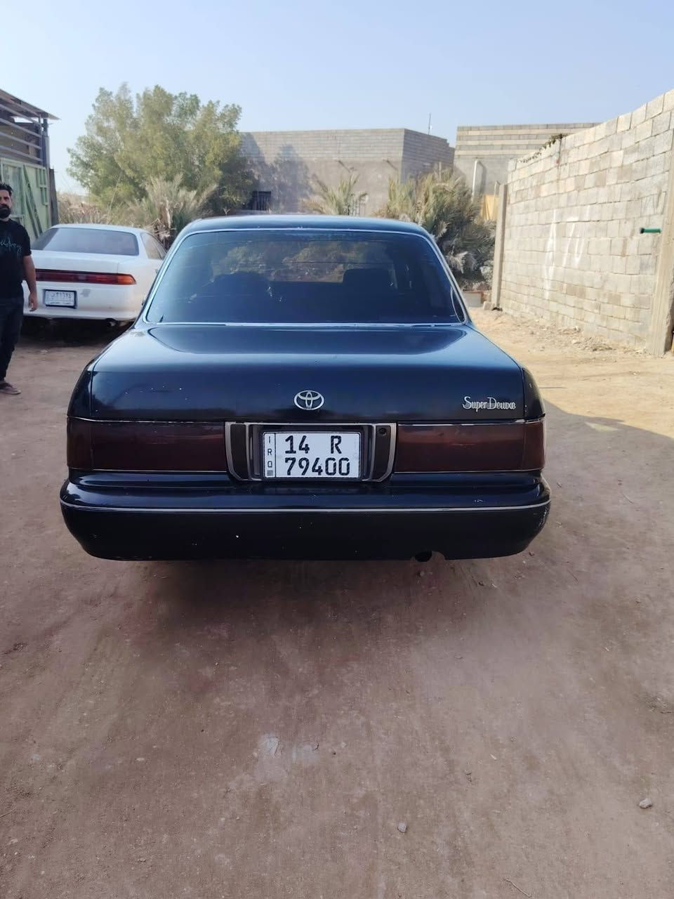 ارنب كصه قماره مصبوغه جماليه موديل 90 سنويه ل 28 رقم انكليزي السعر 38 رقم راعيه *********** انه مكلف بل نشر
