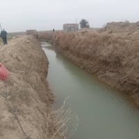 الدغاره • ١٣ جونم • طابو زراعي