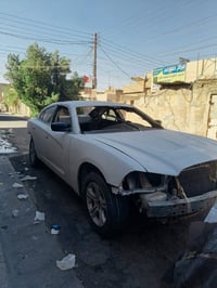 بدون رقم • ٢٠١٣ • اصفر