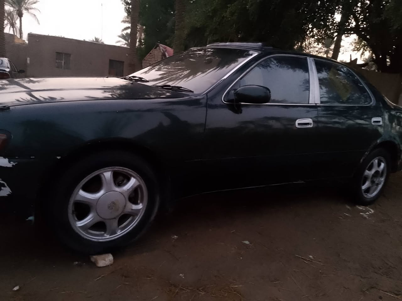 سلام عليكم كـرستة للبيع مكان دوانية قضاء غماس تفاصيل ***********
