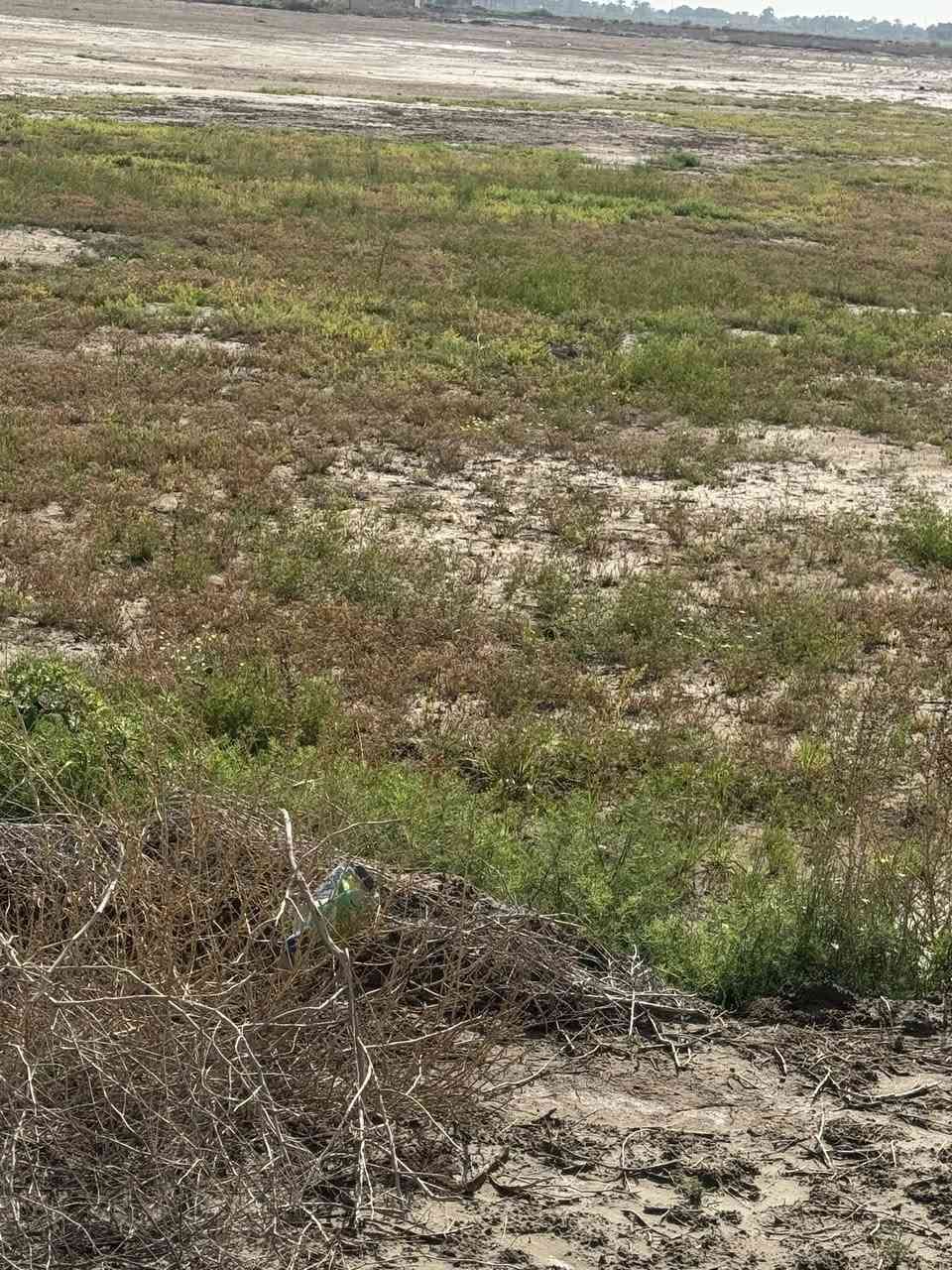 يعلن مكتب بركات العقيلة في منطقة الجمالية عن وجود دوانم طابو سند ٢٥ سعر الدونم يتراوح من ٤٥ مليون الى ٦٠ مليون حسب موقعه وخدمات الدونم كهرباء ممتده مع الواجهة وماء سقي متوفر على مدار السنة للاستفسار 
عنوان المكتب كربلاء الحر الجمالية قبل ماتوصل شركة كآله هاتف ***********
والله ولي آلتوفيق
