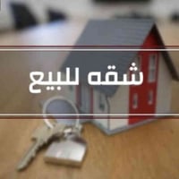 قرب جامعة بابل • ١٥٥م • حرة