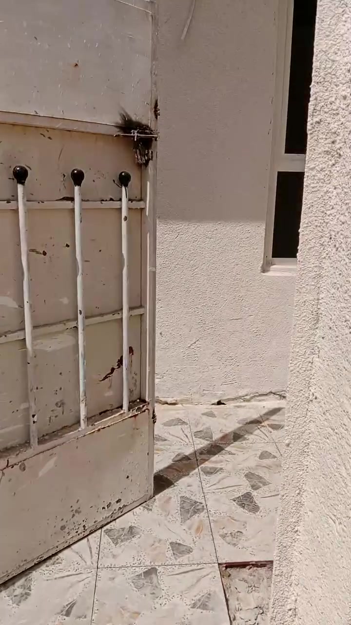 سلام عليكم بيت تجاوز البيع العنوان زعفرانيه شارع الكهرباء البيت جاهز مجاري ارضيه بي ملاحضات يعني أكمله ع الخير سعر 16 وبي مجال ***********قريب تبليط
