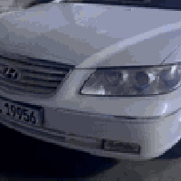 ازيرا • ٢٠٠٩ • التاجي