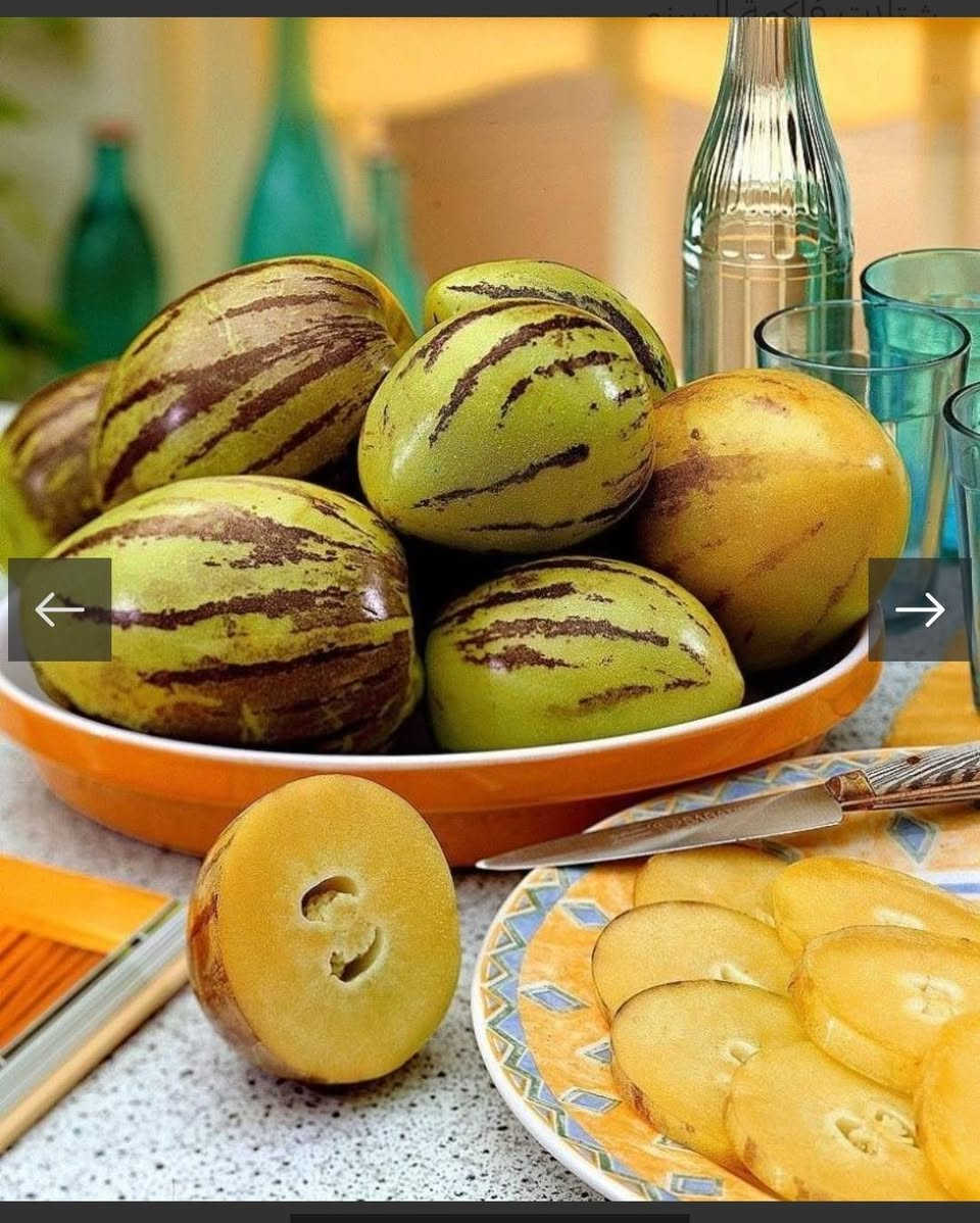 شجيرة فاكهة البيبينو النادره  الي يحب يحجز شتلات هذه الفاكهة  يتفظل واتساب *********** السماوه أو مراسلة الصفحه
