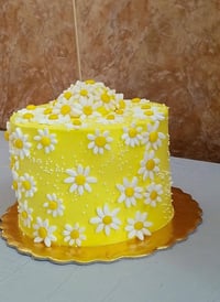 طلبات اليوم • الانبار هيت • حي امينه
