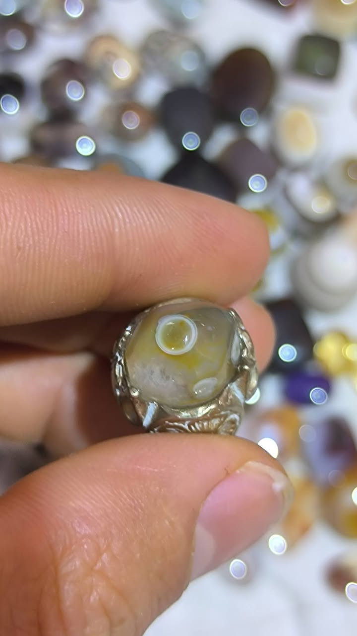 سليماني عيون صريحة قطع جميلة اسعار مناسبة للجميع 
صياده خل صيد سعر القطعة 5 الف فضة نازلة اسعار بلاش


**إذا كنت صاحب هذا الإعلان وتريد حذفه لأي سبب، رجاءا أرسل رسالة إلى الدعم الفني**