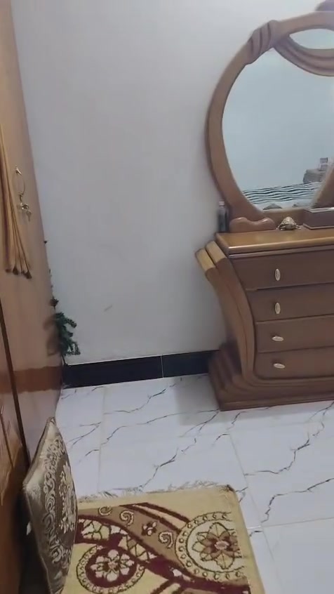 سلام عليكم غرفة ضخمة نجارة سعر 600وببه مجال


**إذا كنت صاحب هذا الإعلان وتريد حذفه لأي سبب، رجاءا أرسل رسالة إلى الدعم الفني**