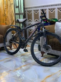 جبلي • بطه • حجم ٢٦
