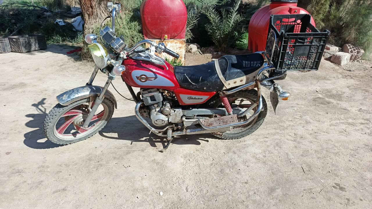 جونده للبيع كلك ٤٠٠ وخمسين وبيهه مجال مكاني الرميثه قضاء الهلال اتكفلك بيهه من سرقه فقط راسلني خاص موجود وخادم للطيبين


**إذا كنت صاحب هذا الإعلان وتريد حذفه لأي سبب، رجاءا أرسل رسالة إلى الدعم الفني**