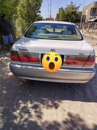 نقل جثة • ٢٠٠٤ • بصرة دولي