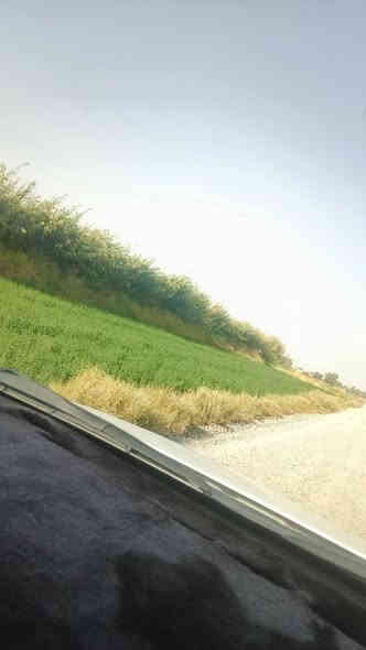 اللهم صلي وسلم وبارك على سيدنا محمد وعلى آله سيدنا محمد السلام عليكم ورحمة الله وبركاته عندي كاع دوانم لبيع المساحه 8دوانم طابو زراعي سند 25طابو الفلوجه ذراع دجله منطقة شيخ عامر كلش قريب عله جسر سبع البور وعله التاجي عله الشارع عله الصب الرواي مال المي السقي كلش حلوه تخبل عندي متوفره كافة الخدمات السعر الدونم الواحد 8مليون وبيه مجال اتصل على الرقم ***********ابو حوراء هاذه رقمي بي واتساب راسلني خاص بمطقه العيساويه الواجهة الواحد 40متر
