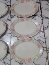 غربيل بناء • فرفوري • ٢٥ سيت