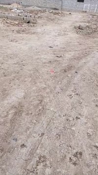 أرض زراعية • ٢٠٠م • كوت البيضاء