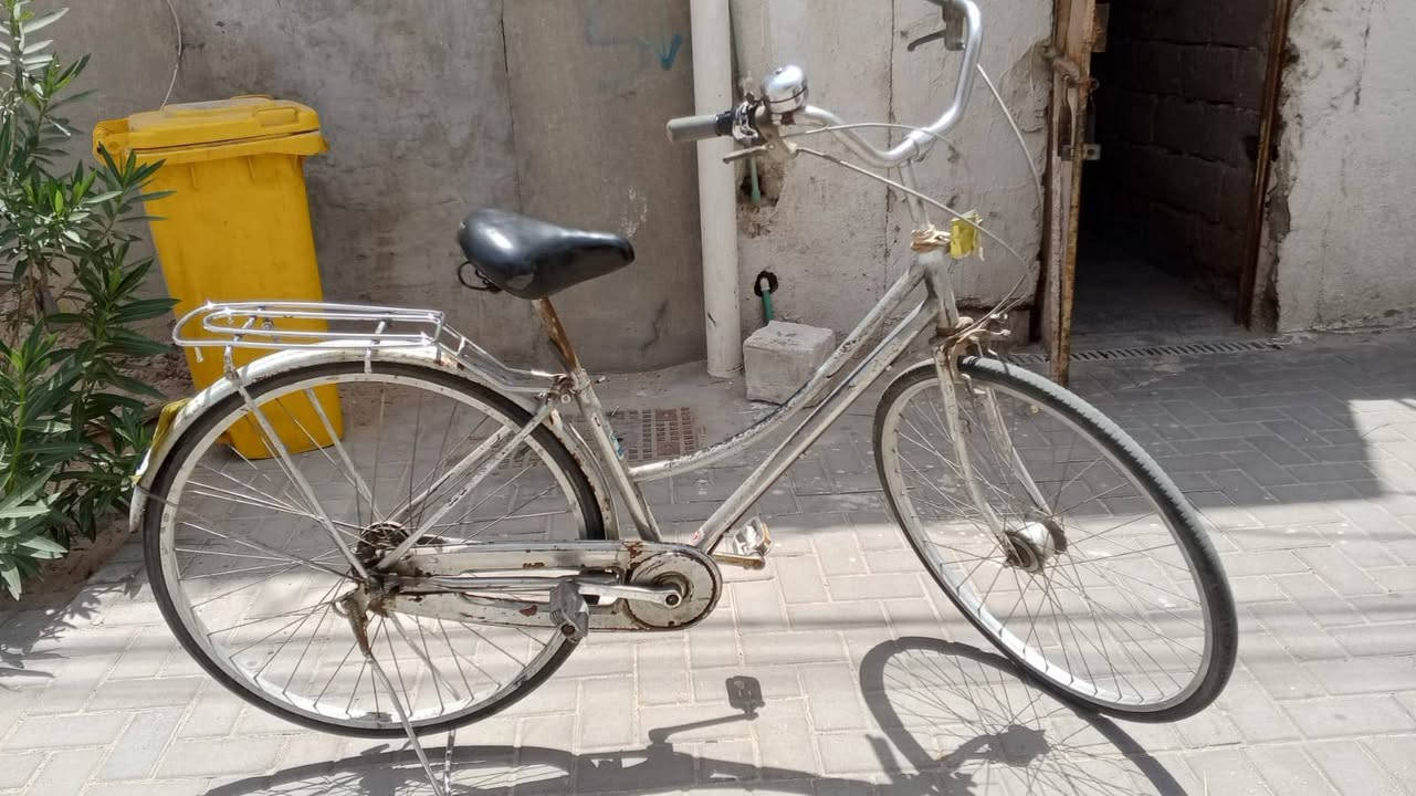 السلام عليكم باسكلات عدد 2
للبيع سعر الحمر الجبلي 90
نضيف جاهز من كلشي ماعده مفتاح السرج 
والسياحي رايده 50
وبيهن مجال لطيبين 
عنوان بصره القبله 
رقم الهاتف ***********
