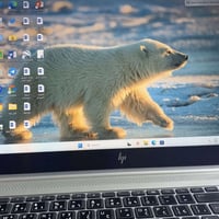 HP EliteBook 755 G5 • Ryzen 7 PRO 2700U • ١٦ جيجا رام