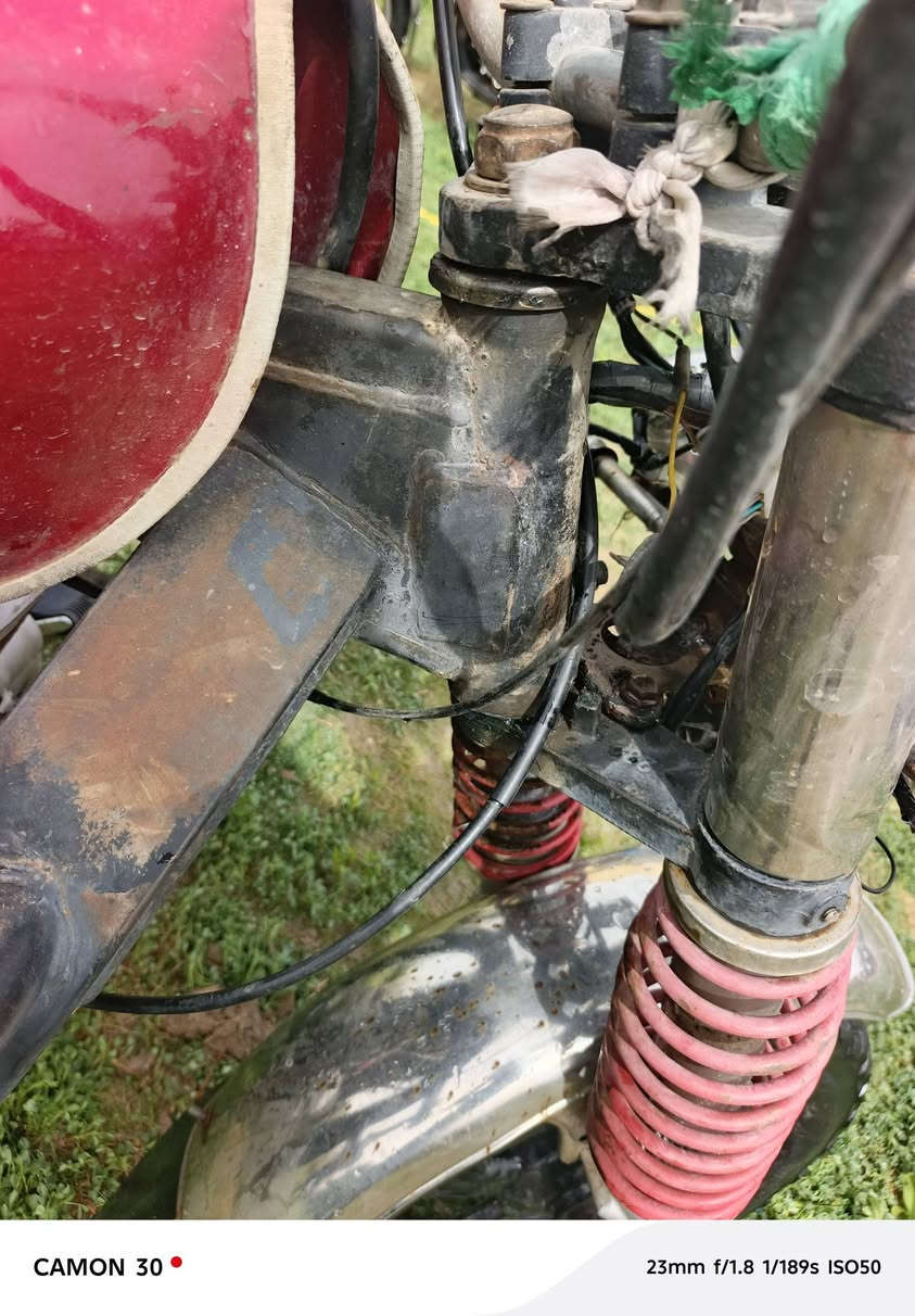 السلام عليكم يوجد لدينا ستوته فحل
أصول يهودية السعر١٥٠٠

وبينه مجال  وشري يدلل المحافظ واسط الصويره***********
